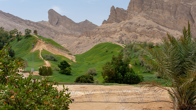 Al Ain Jable Hafeet Mountain Tour